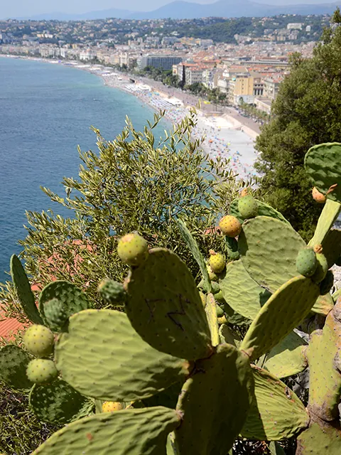 View of Nice from the "Colline du château"