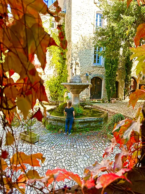 The mossy fountain of Saignon