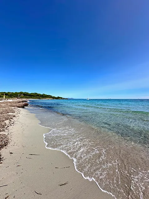Coastal path in the Gulf of Saint-Tropez: Salins beach