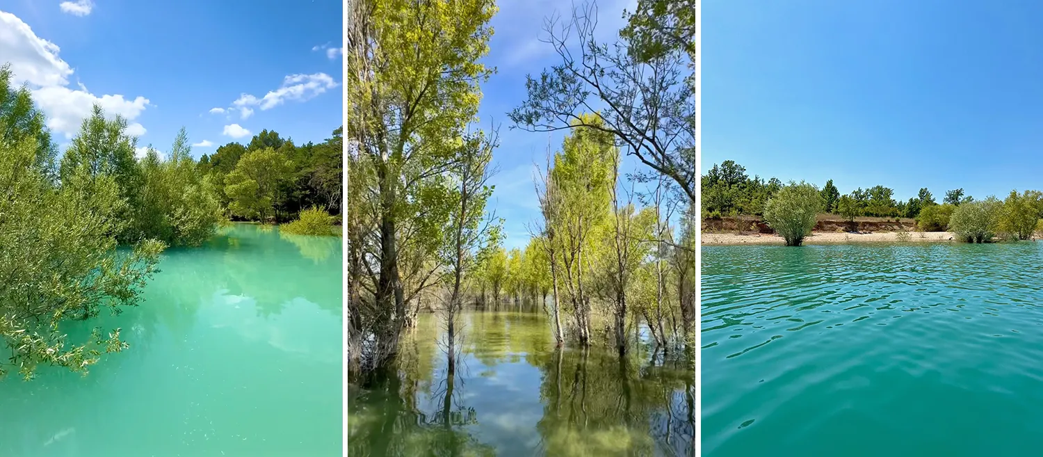 What to do in Verdon ? Discover the creeks and submerged forests