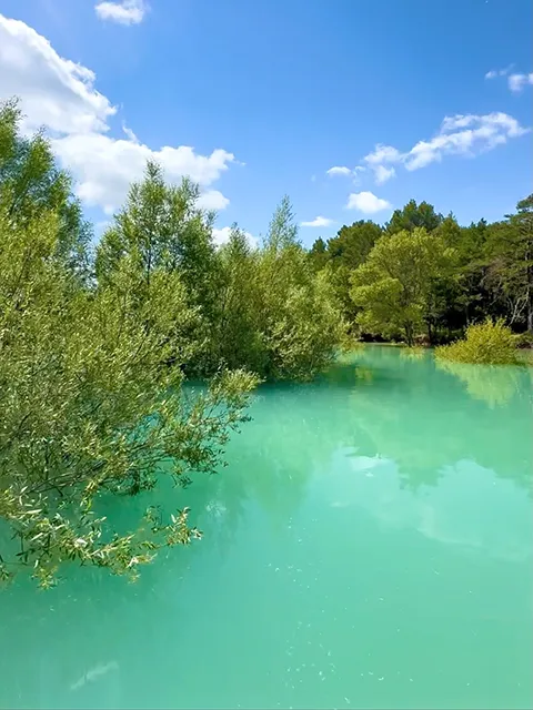 The submerged forest of Amour beach at Sainte-Croix lake