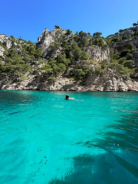 The advantage of the Calanque d'En-Vau : its natural landscape