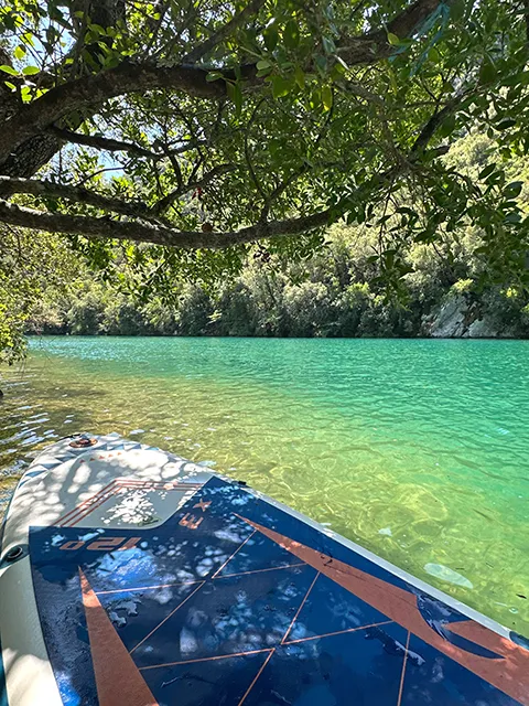 Take refuge in the many coves of the Esparron lake