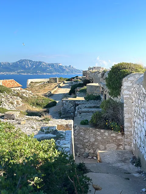 An original visit of Marseille ? Take a hike to the Frioul islands, to Cap Caveaux