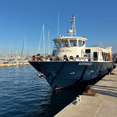 Shuttle to visit the Frioul Islands and the Château d'If