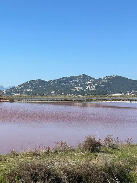 The Pesquiers saltworks in Hyères