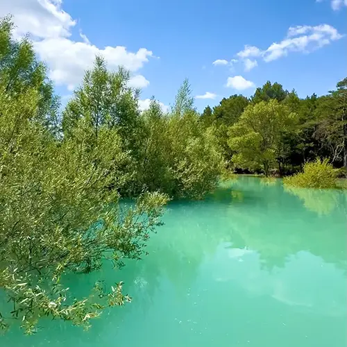 The fantastic submerged forests of Sainte-Croix lake in Verdon