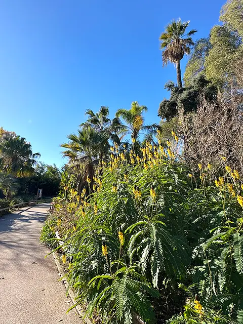 Visit the remarkable gardens of Hyères