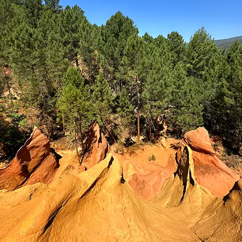 The ochres of Bruyères, wilder than those of Roussillon.