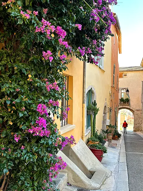 Visit of Hyères and its old streets