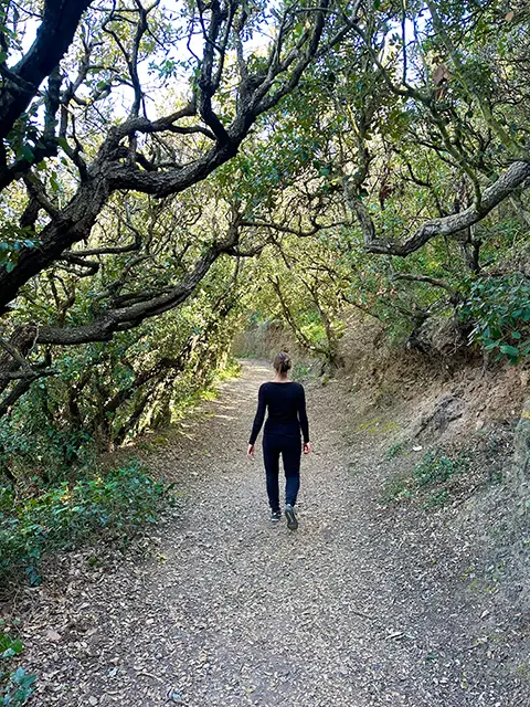 What to do on the Giens peninsula ?