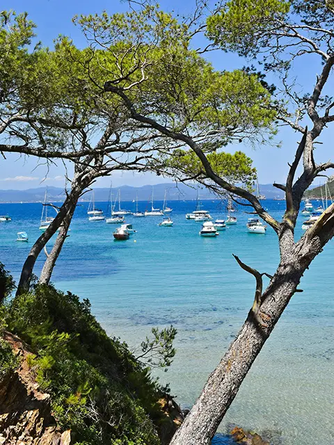 The heavenly beaches of the Porquerolles island in Var