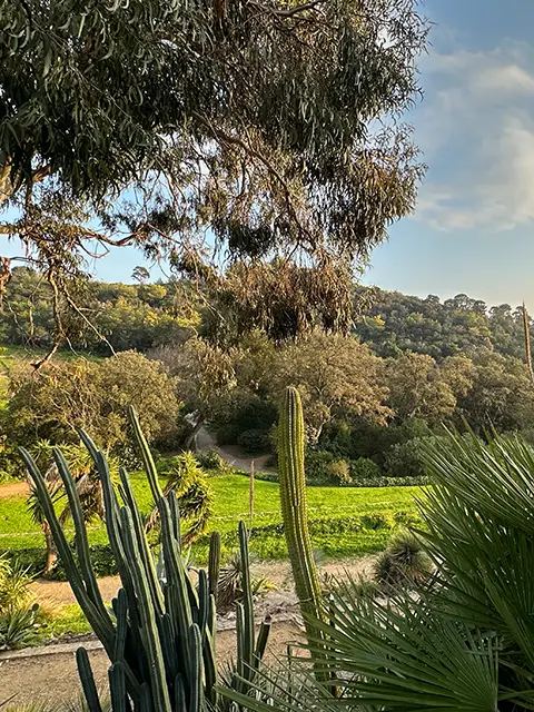 The diversity of plants in the Rayol garden