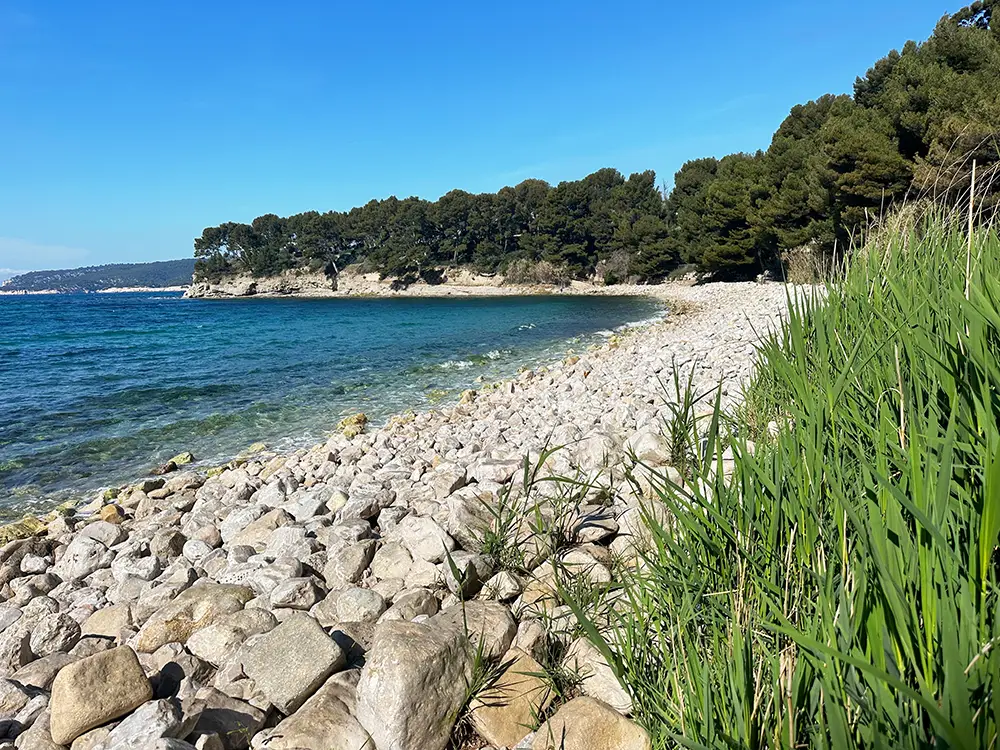 Arene beach in Cassis